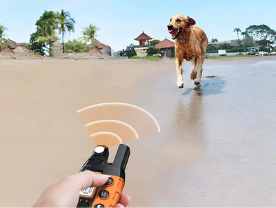 PawElite Collier de Dressage pour Chien – 1000m, Étanche et Rechargeable