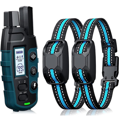 PawElite Collier de Dressage pour Chien – 1000m, Étanche et Rechargeable